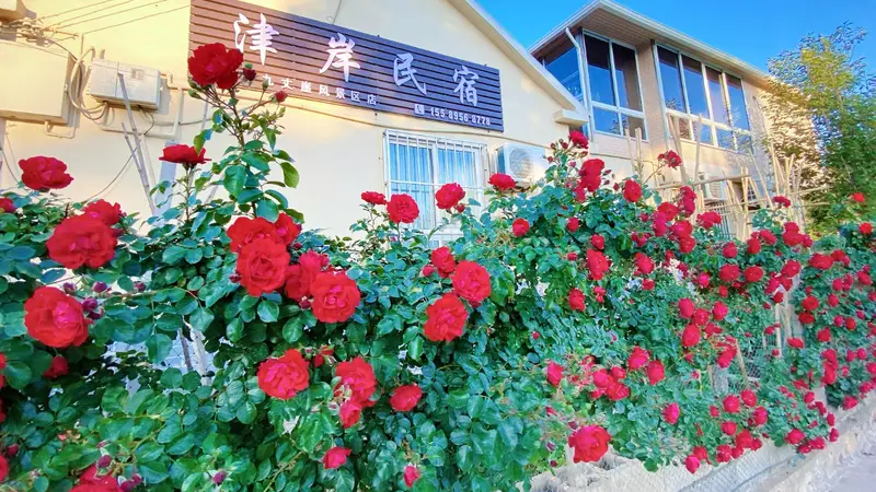 长岛民宿哪家老板实在？津岸民宿15年零套路，游客直呼宝藏