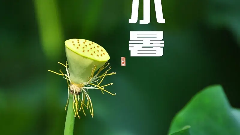 7月7日小暑要懂得忌口，少吃西瓜冷饮，多吃这4样，清热祛暑健脾