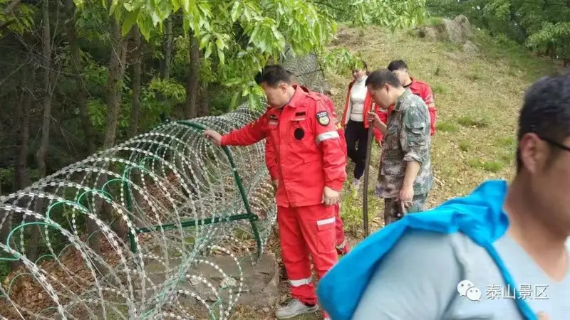 围山多年的泰山刀片刺网,是怎么来的?