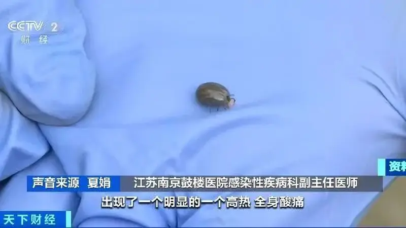 户外露营 小心被这种虫子“贴贴”！