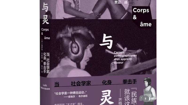 哲学新书联合书单|当社会学家化身拳击手