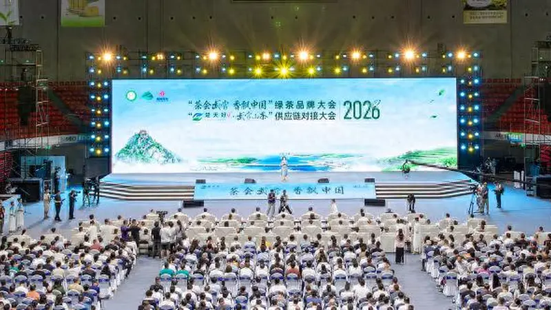 全国绿茶前六强!“日照绿茶”再度闪耀全国 圣谷山海岳岭茶入选2026绿茶品牌大会“珍品茶”