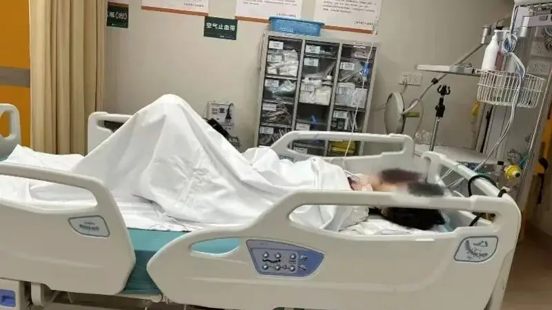 上海反虐猫志愿者遭网暴后轻生被救 家属将协助女儿维权