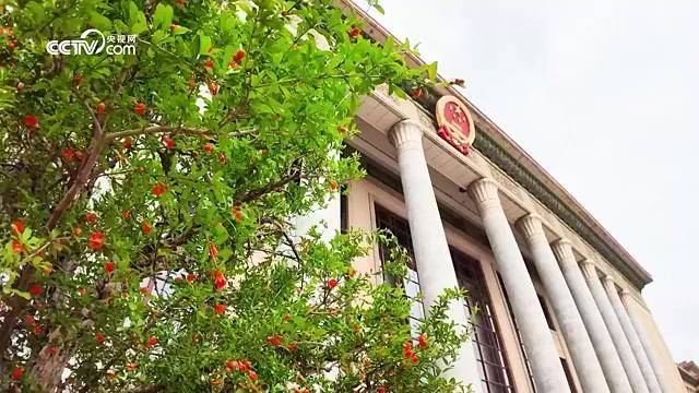 时政微视频｜跨越山海的“北京时间”——2026年上半年中国元首外交纪事