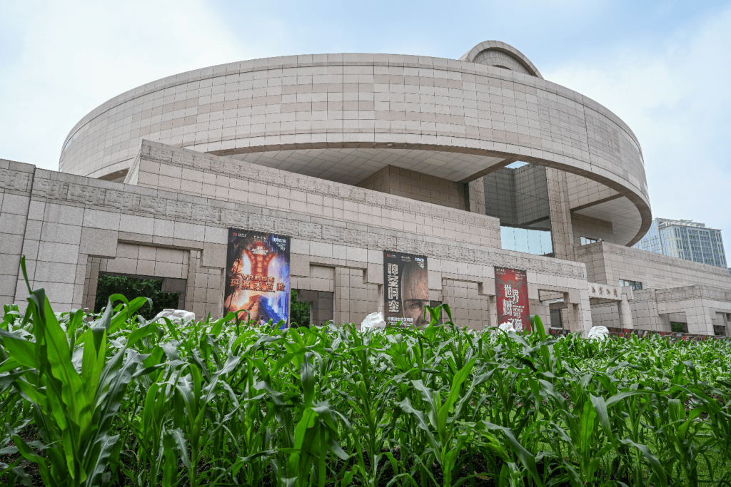 魔都眼｜从玉米地到世界树：上博新展以宇宙观串联三千年美洲文明