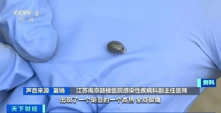 户外露营 小心被这种虫子“贴贴”！