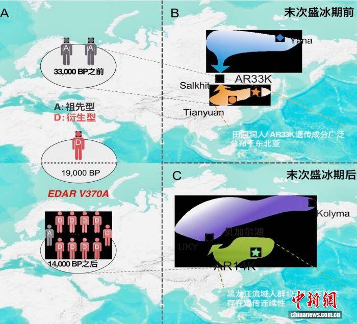 付巧妹：古人类演化研究将向更古老进军和史前更近时代延伸