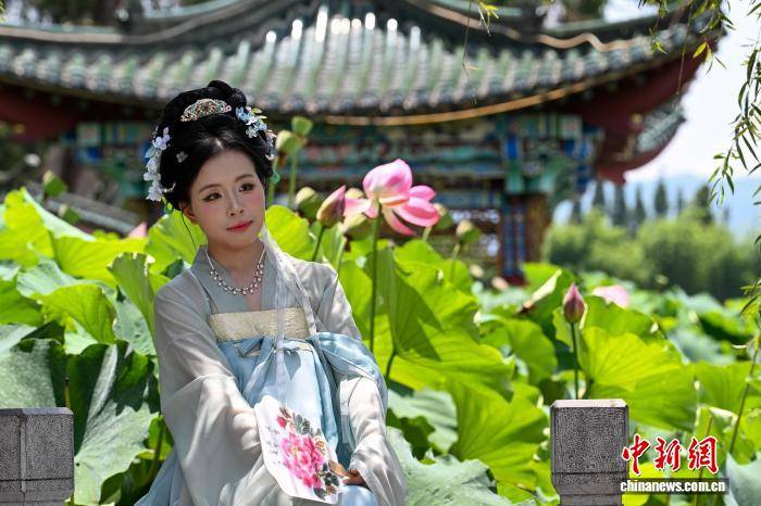 昆明大观公园夏日荷景如画