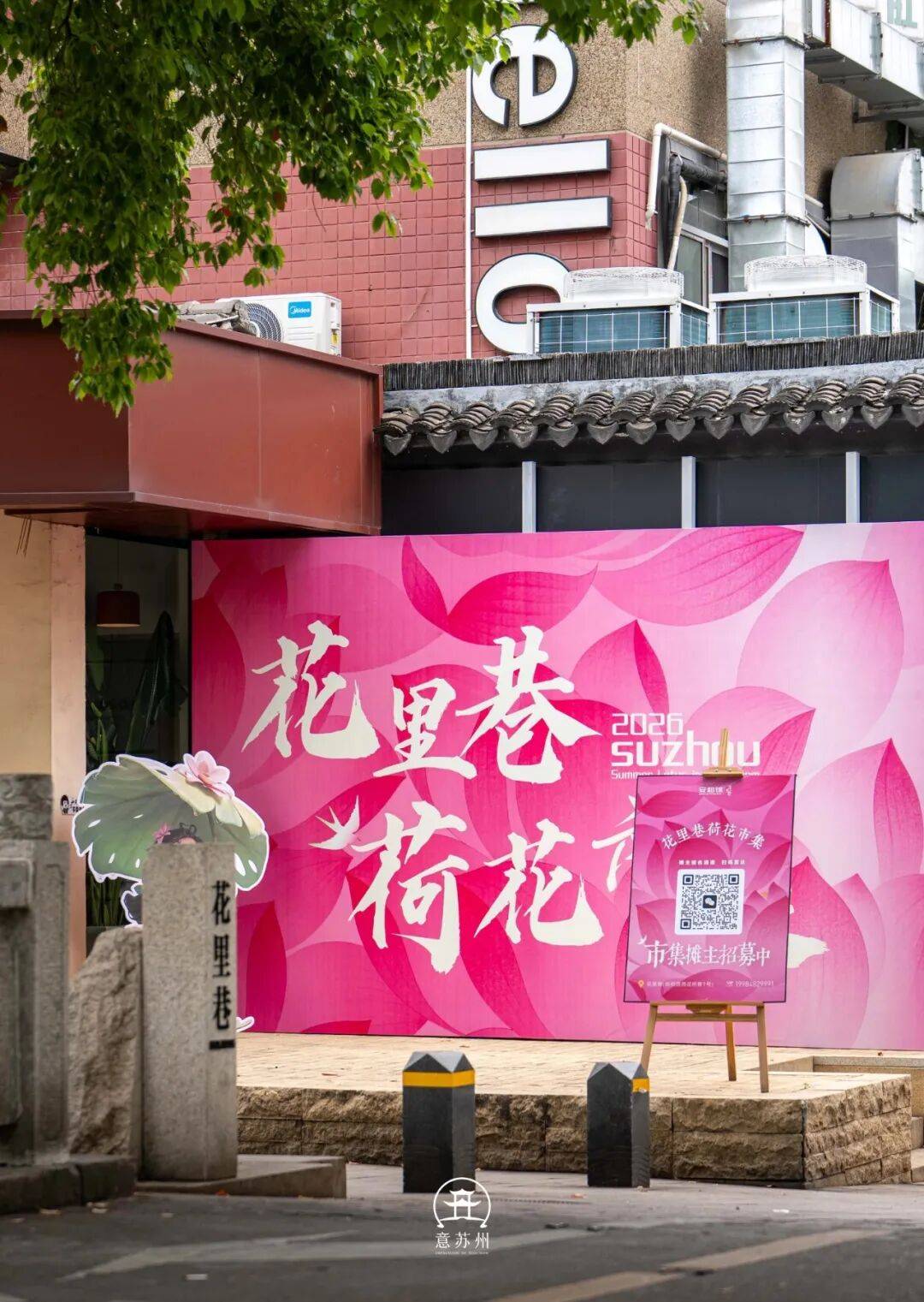 此刻姑苏｜一巷荷花，半日清闲