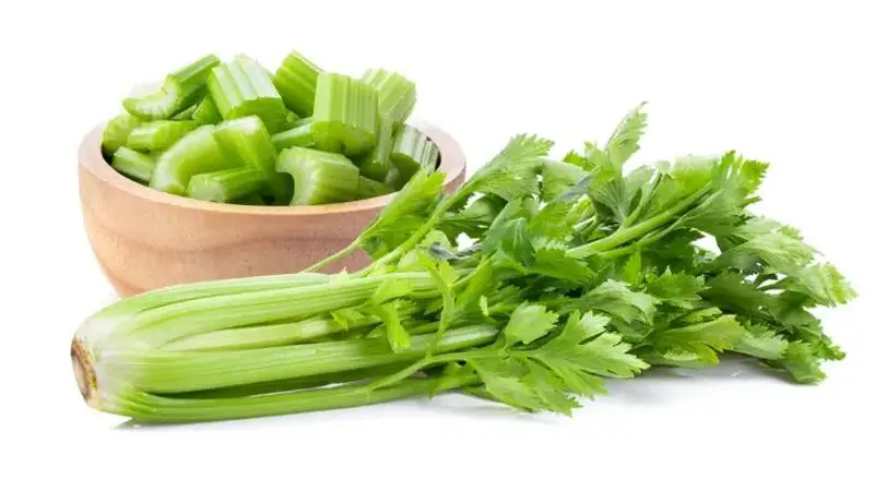 芹菜的营养价值？