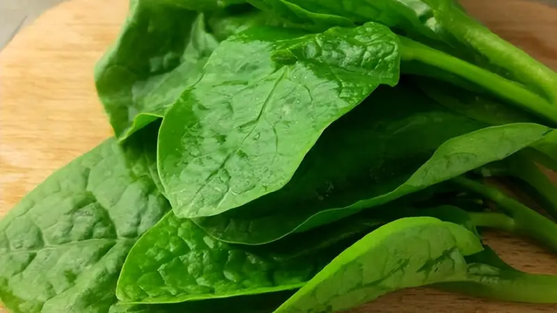 蚕菜：被誉为“百菜之王”的营养佳品
