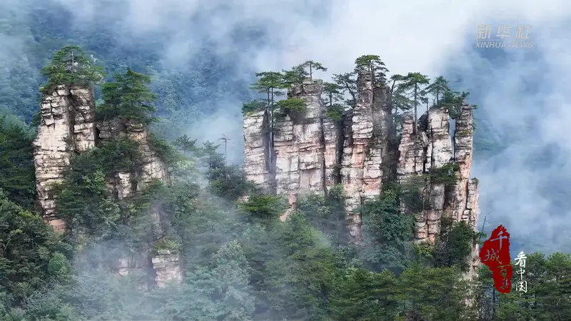 千城百县看中国|湖南张家界:壮美云海醉游人