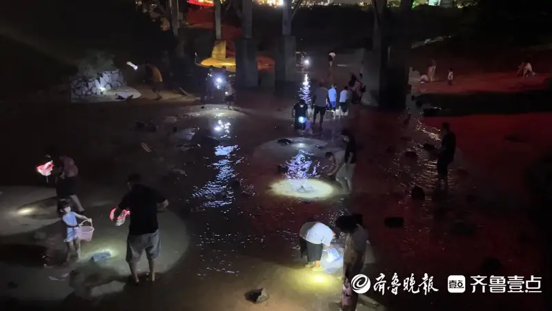 山海天太公岛牡蛎公园:夜幕下赶海寻宝乐趣多