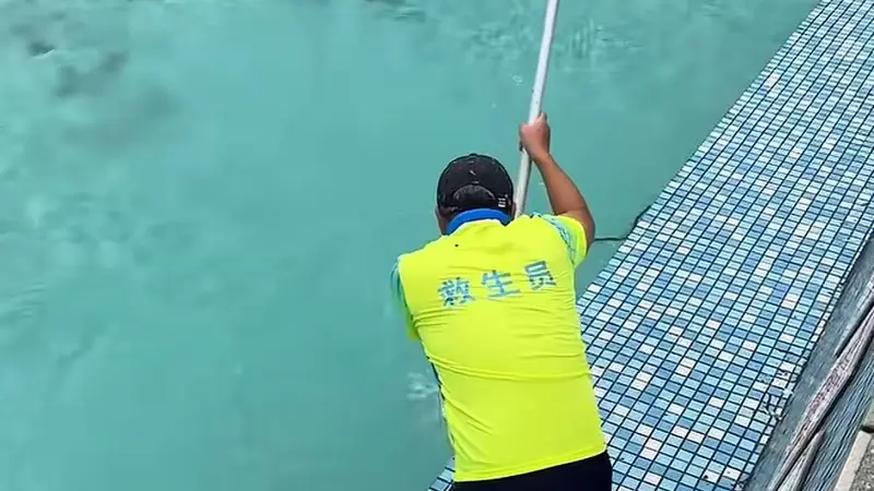 广东清远一景区泳池惊现游蛇 景区回应：系无毒蛇已处理无人受伤