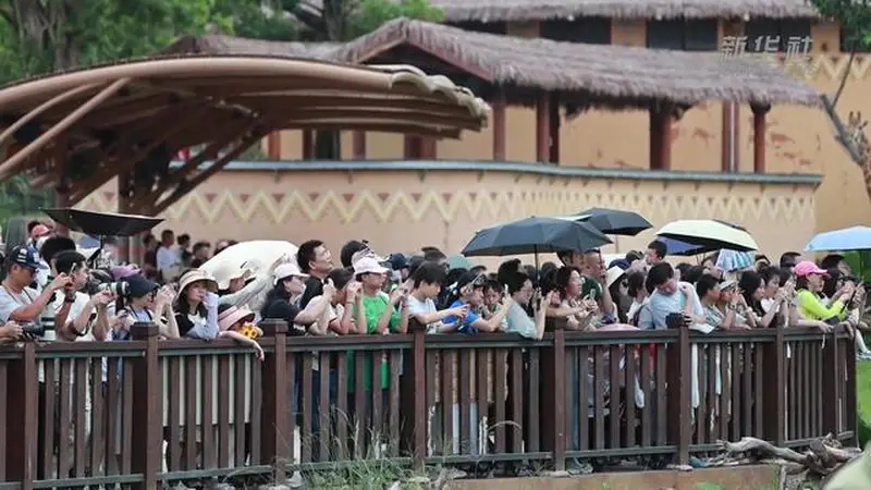 广东清远长隆废弃矿坑生态修复成文旅新地标