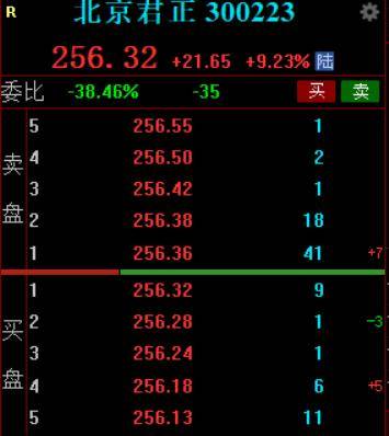 存储芯片板块触底反弹，北京君正一度涨超12%，最新调研纪要披露三季度DRAM价格会继续上调