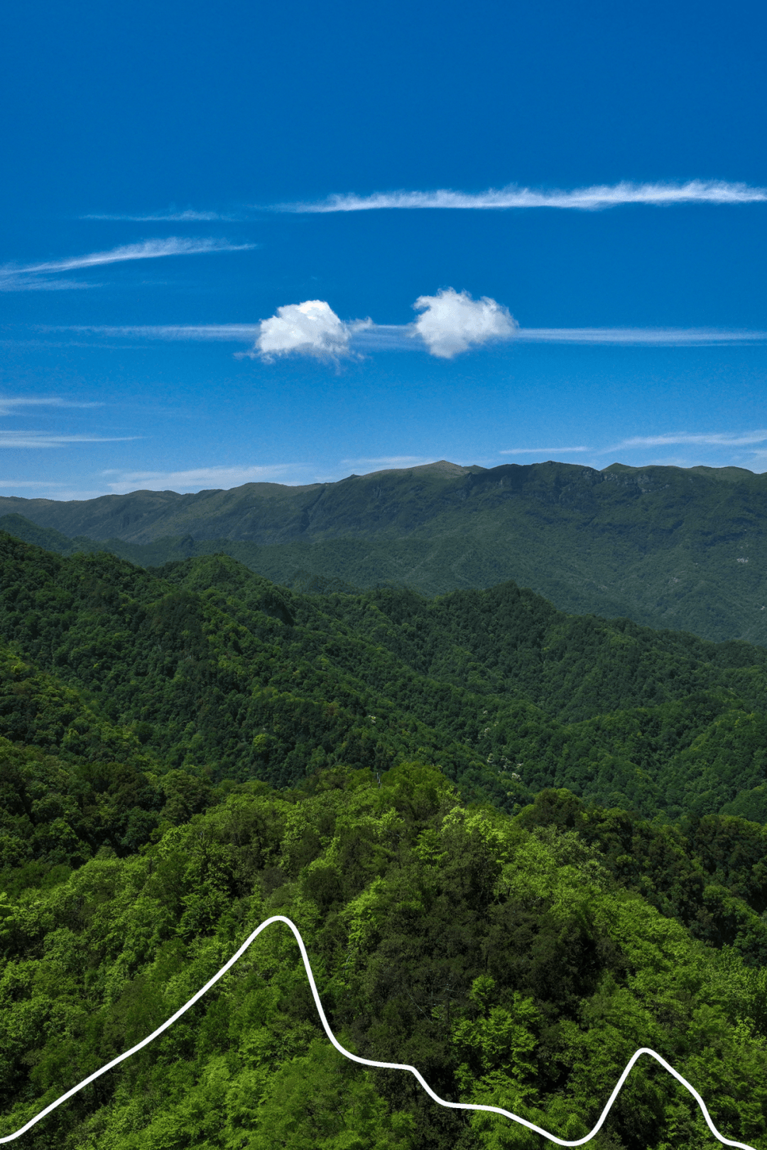 22℃紫柏山，小白友好的夏日徒步胜地