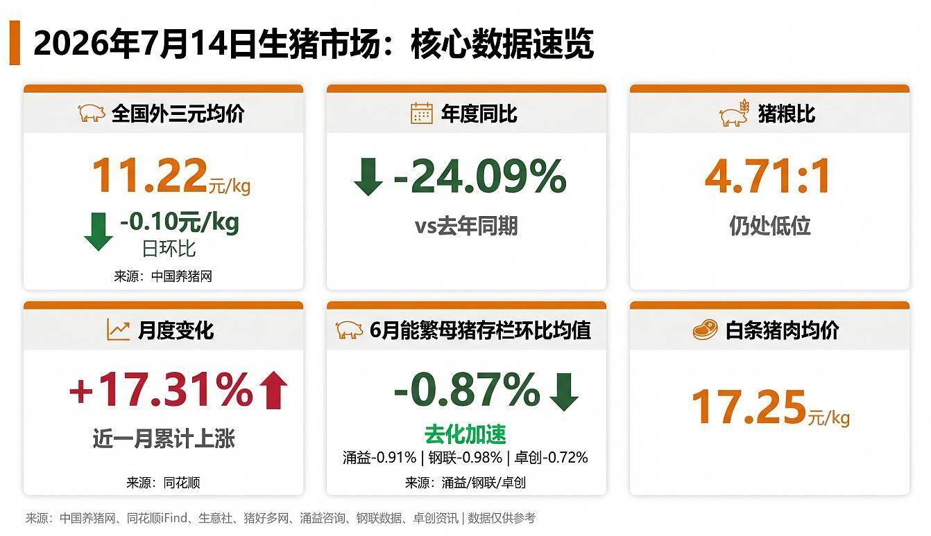 涌益/钢联/卓创三方同步确认6月能繁去化加速！机构提示：二育退潮后猪价短期或承压