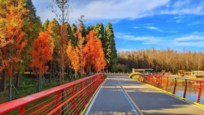 不要浪费昆明的雨天！7条专线带你解锁滇池湿地限定美景
