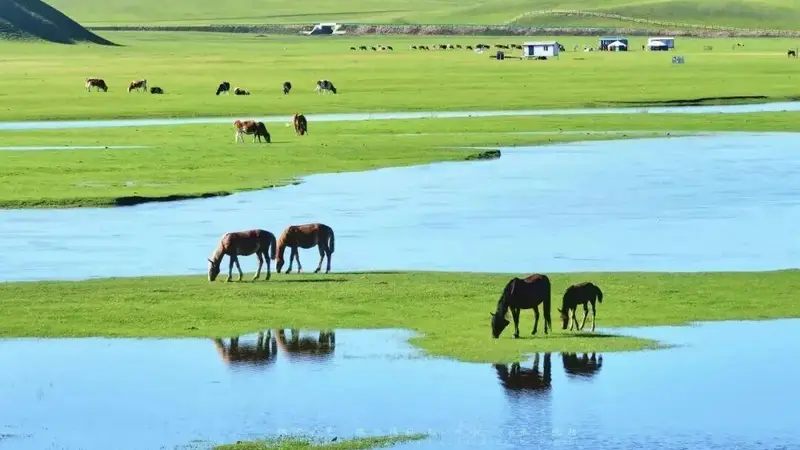 中国国家地理》重磅推荐：内蒙古多地风光正好，入选中国内陆避暑“王牌”