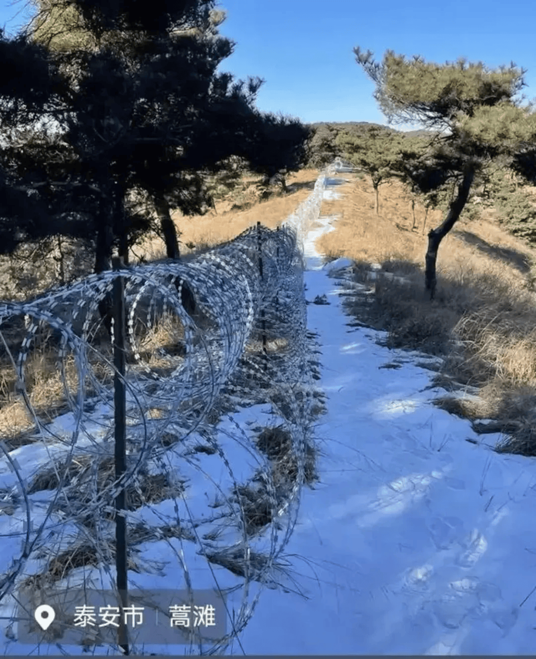 泰山“刀片围山”背后的决策逻辑，该说得更清楚