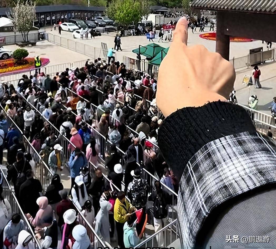 慕田峪插队事件复盘：涉事导游迎多重惩戒，三次改错机会全部错失