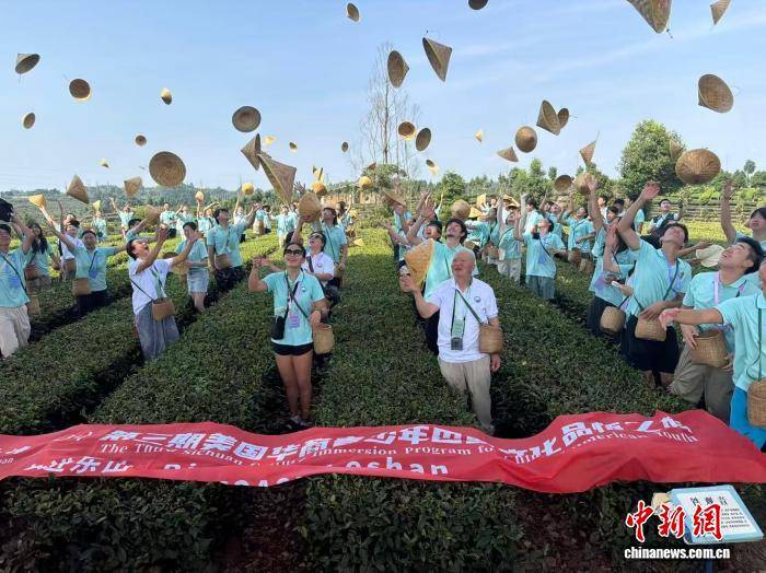 一篓青叶，一首“怪诗”，一群华裔少年的寻根新注解