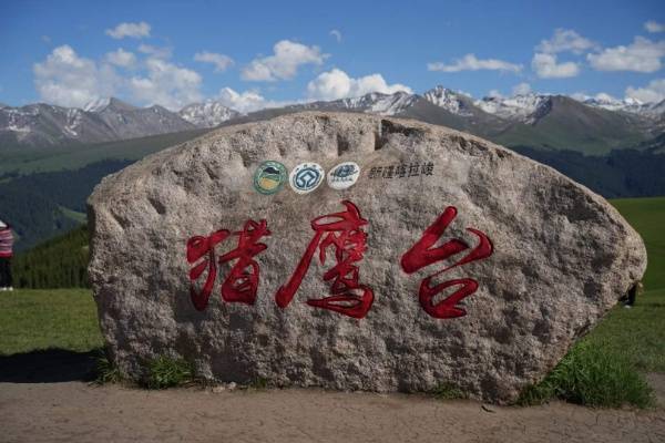 踏访伊犁河谷，在雪山与花海间寻一场四季流转的梦