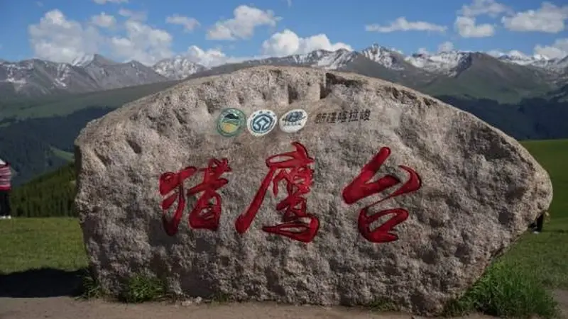 踏访伊犁河谷,在雪山与花海间寻一场四季流转的梦