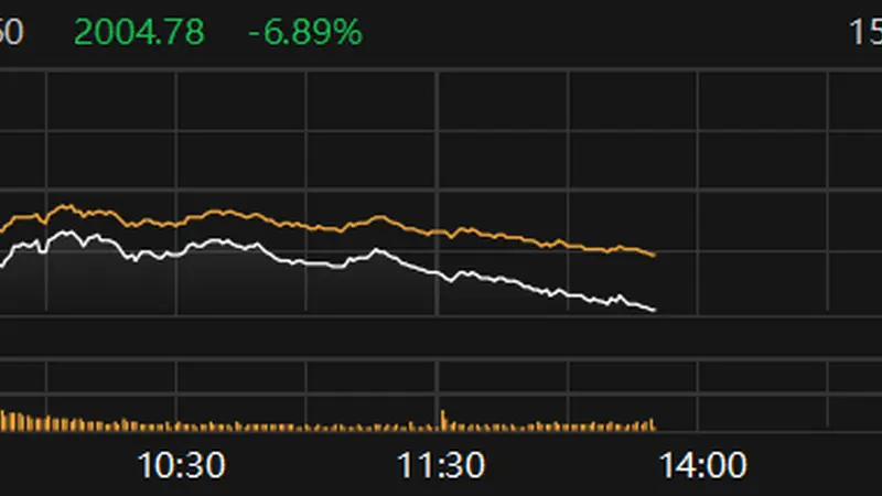 科创50指数盘中跌近7%