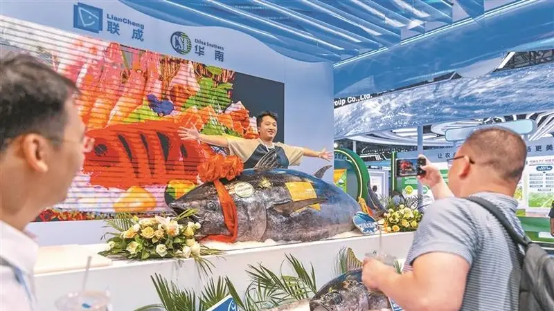 全球近20个国家和地区的优质渔产品在深圳集中展示 千斤蓝鳍金枪鱼游上市民餐桌