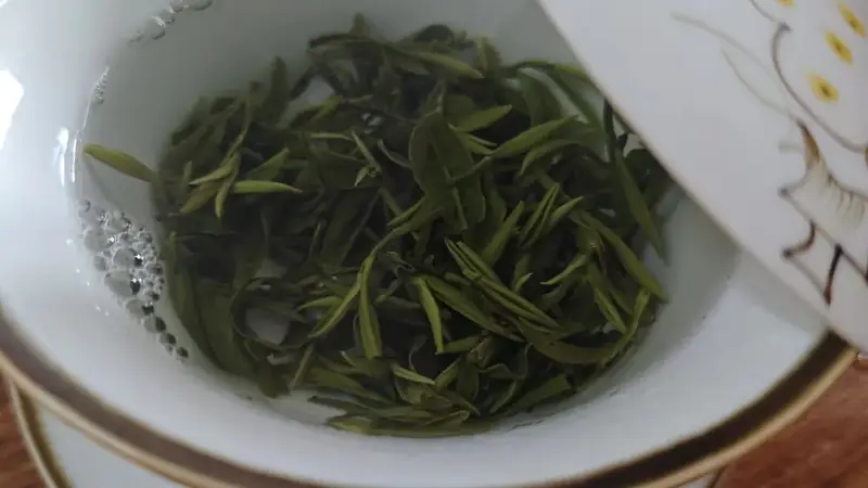 夏饮雨花,金陵清欢