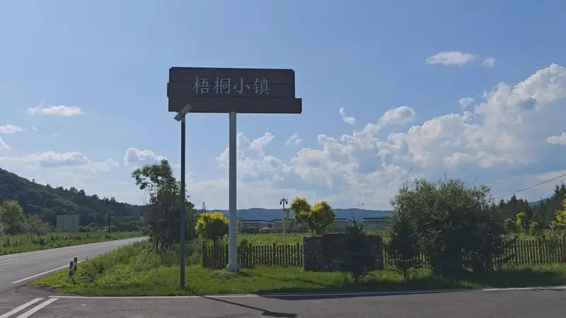 梧桐镇：生态康养旅游的绿色新名片
