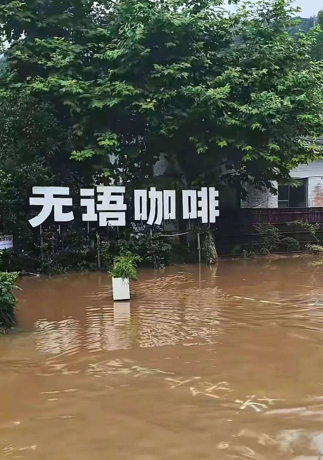 景德镇暴雨致内涝洪水，多家商户被淹，瑶里古镇临时关闭