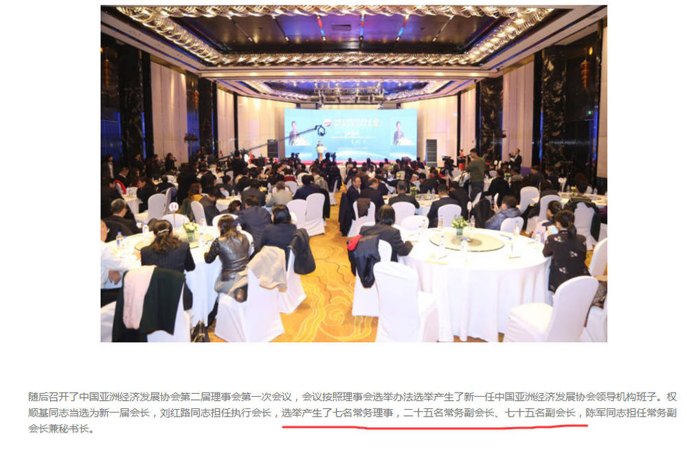 “中字头”协会曾有100个副会长，都能花钱买