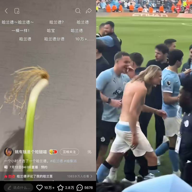 浏览量破亿哈兰德本尊回复！爆火的“哈兰葱”竟是重庆小伙花一小时精挑的蒜苗