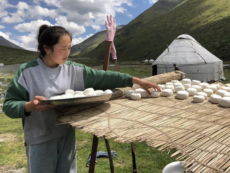 欧洲人最爱吃的奶酪，为什么在中国不流行？根本原因在于哪？