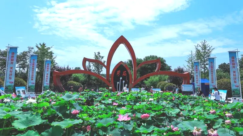 解锁夏日微度假最新玩法 西安市2026年消夏文旅季暨西安千荷苑荷文化旅游季启动
