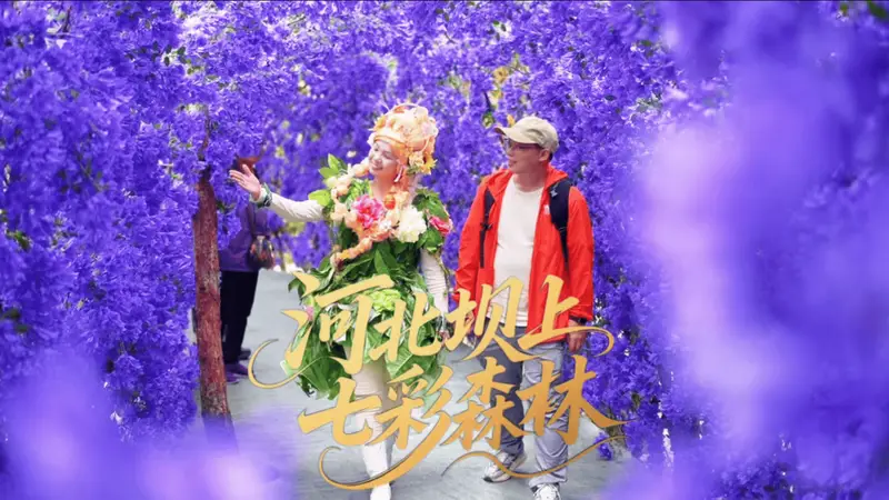 北京周边避暑天花板!16℃的丰宁七彩森林,遛娃度假一站式全搞定