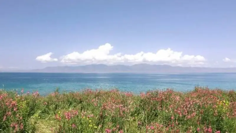 伊犁河谷的四季私语:一位旅人用七天邂逅天山深处的时光