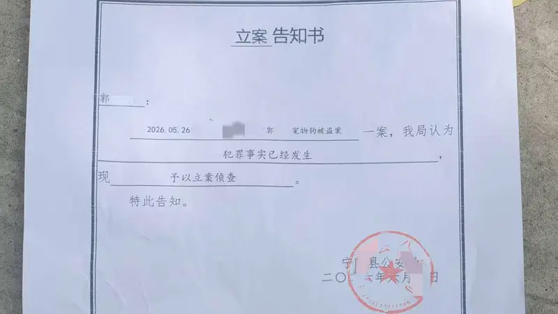 网红边牧“锄头”被盗宰杀案移送检察院 犬主人将提起民事诉讼