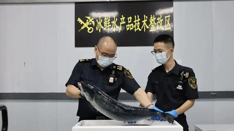 南京，再添一条新航线！
