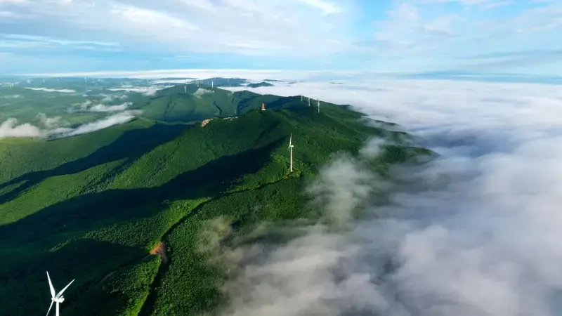 漫话龙江·话景 (237)丨旅发超精彩 密山等你来