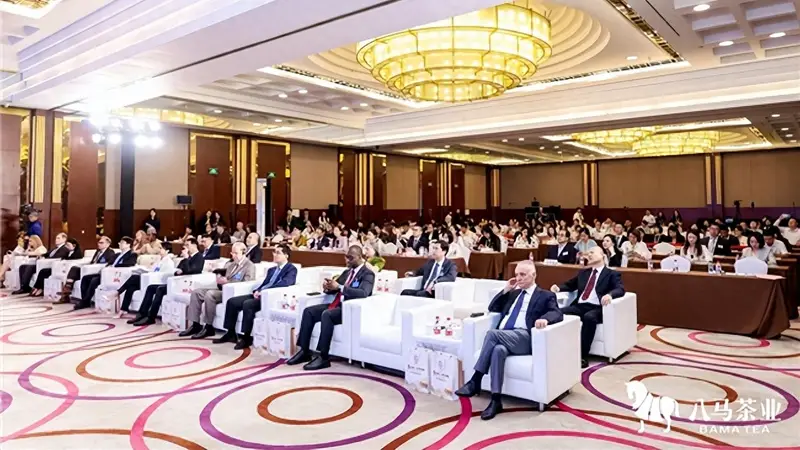 礼遇14国使节闪耀国家级外事舞台,八马上市彰显硬核品牌实力