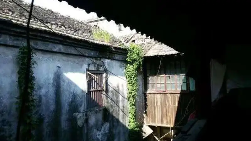 从薪谷到典当：一个苏北市镇的兴衰史