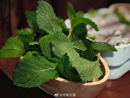 薄荷的两种神仙吃法