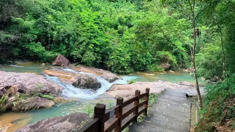 这个夏天,来广州这些公园,在溯溪嬉水中驱散盛夏暑气吧~