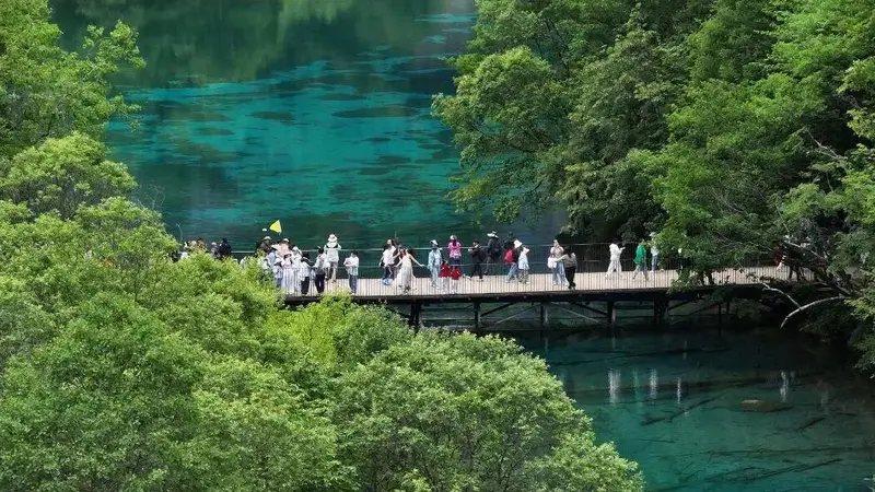 网传九寨沟湖水靠颜料染色?纯属虚假谣言
