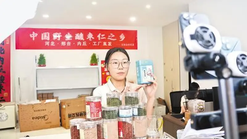 酸枣芽炒茶两个月热卖八千斤