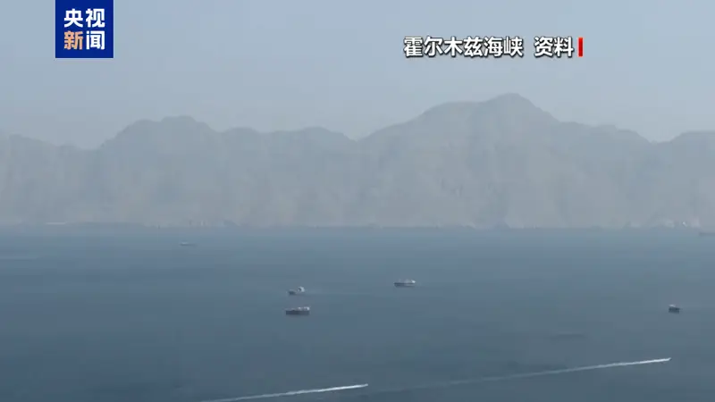 游客油菜花海遭蜂群袭击当地文旅部门提醒注意安全